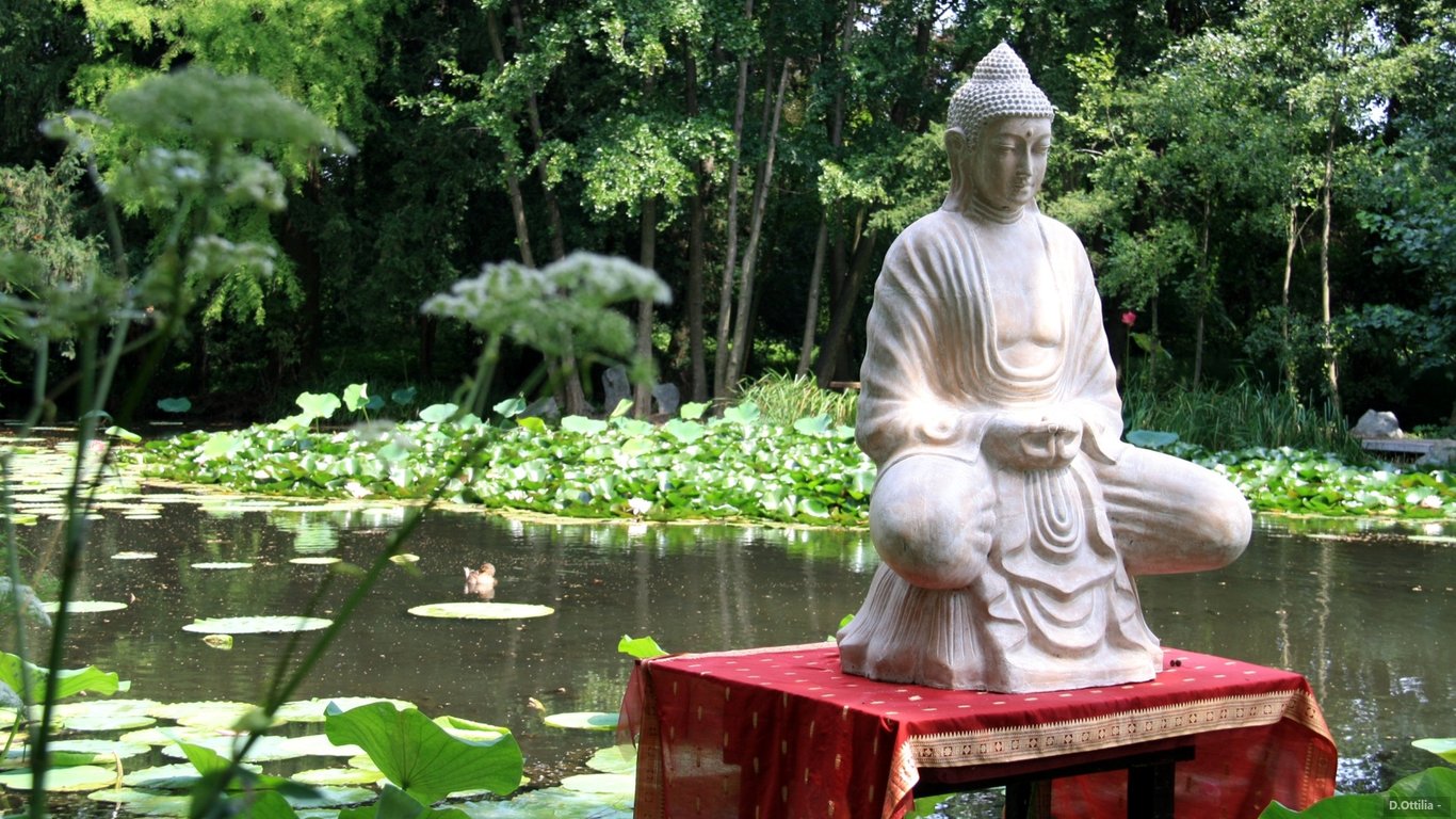 Szeged - Füvész Kert 